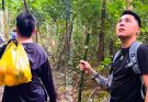 Dad found no sign of the Monkey Kaka in the vast forest